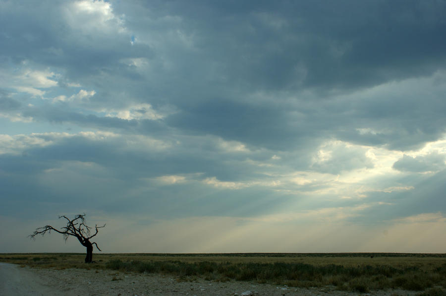 Etosha, Namibia