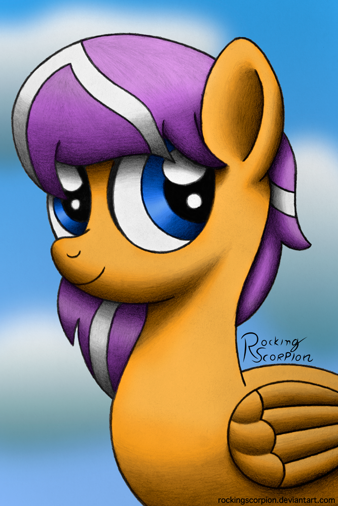 Digidrop Portrait