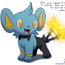 Thunderkitty