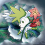 Flying Flower Boi