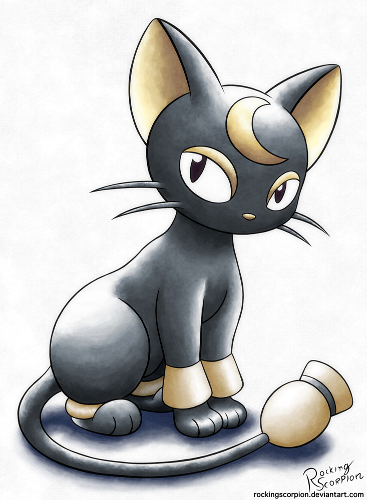 Pokemon belgua the cat