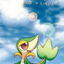 Grass Noodle used Photosynthesis