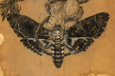 Tree of Death ... moth detail