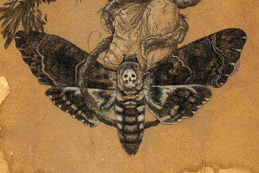 Tree of Death ... moth detail