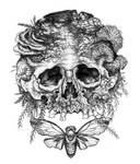 Skull with Moss. by urielstempest
