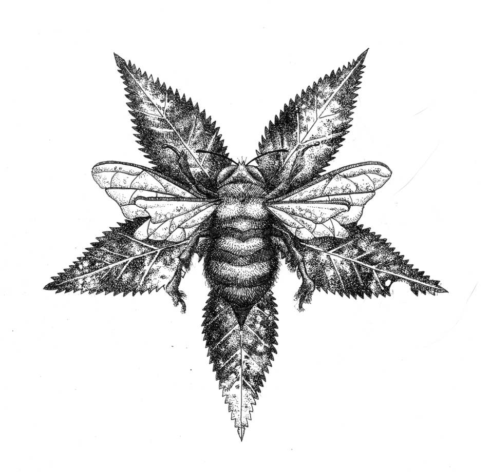 Bee Pentagram