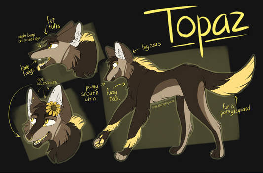 Topaz (march 2020 reference)