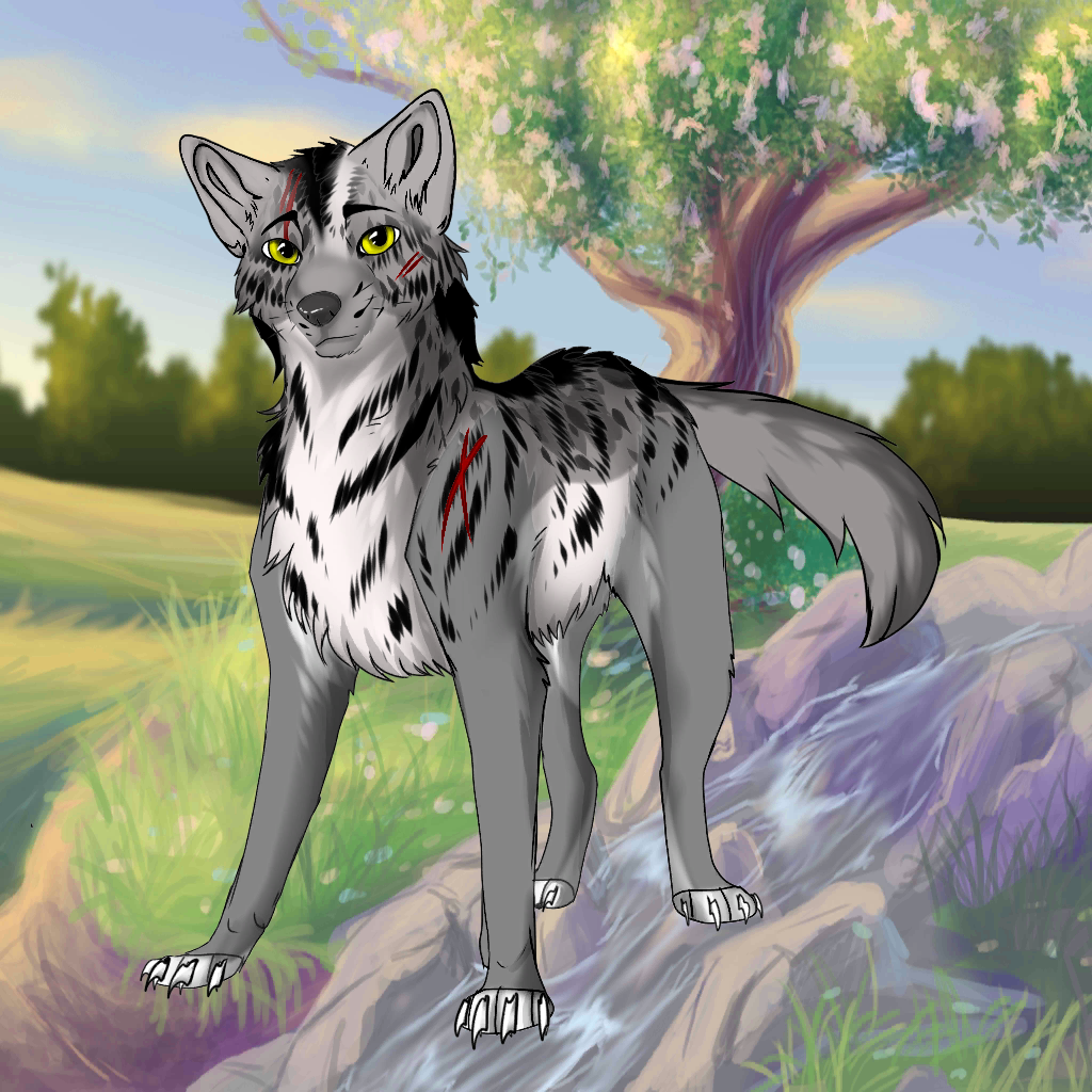 wolf oc by ocsofthecreatures11 on DeviantArt