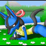 Lucario 7