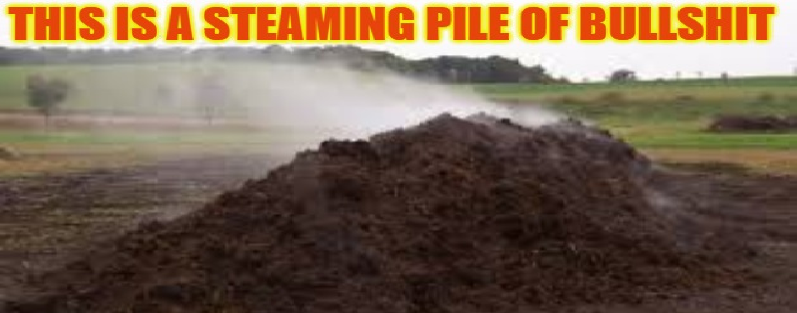 Pileofshit