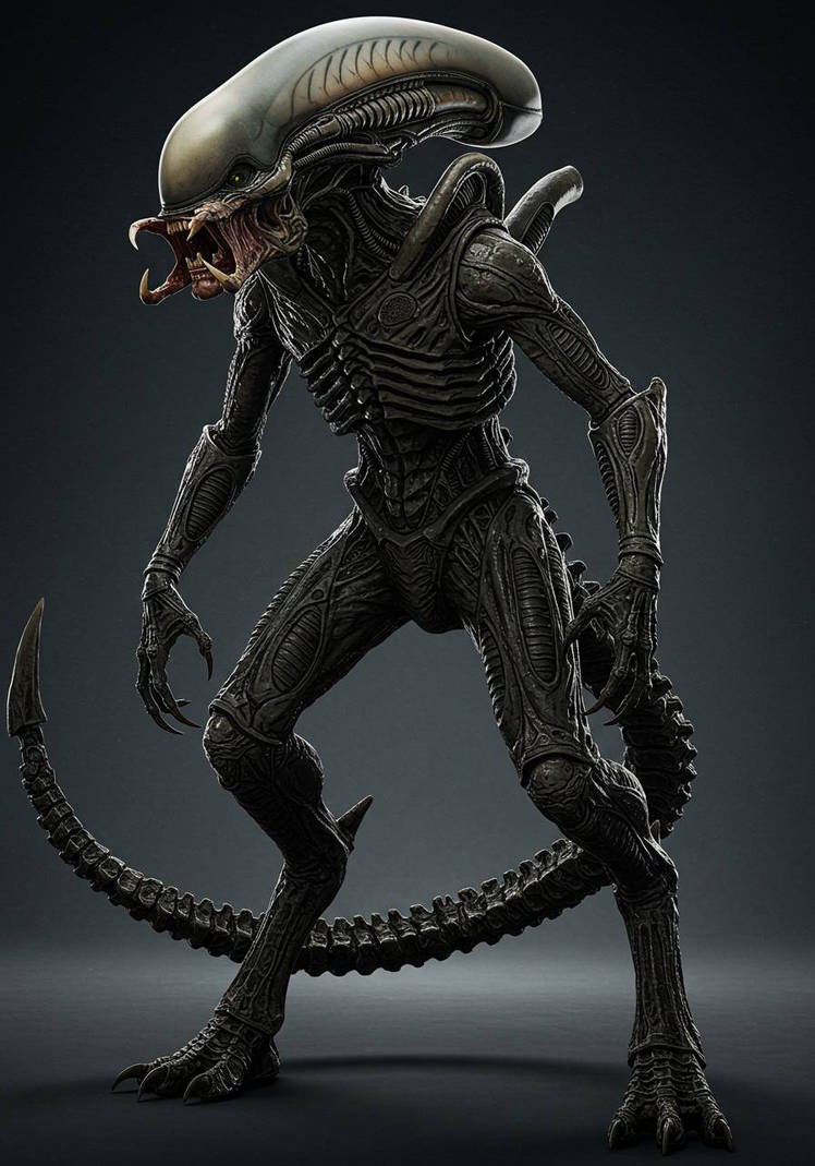 Predalien Design by avpai96 on DeviantArt