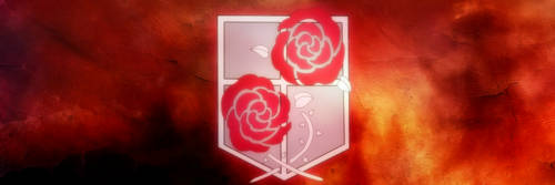 Sailortrekkie92 User Profile Deviantart