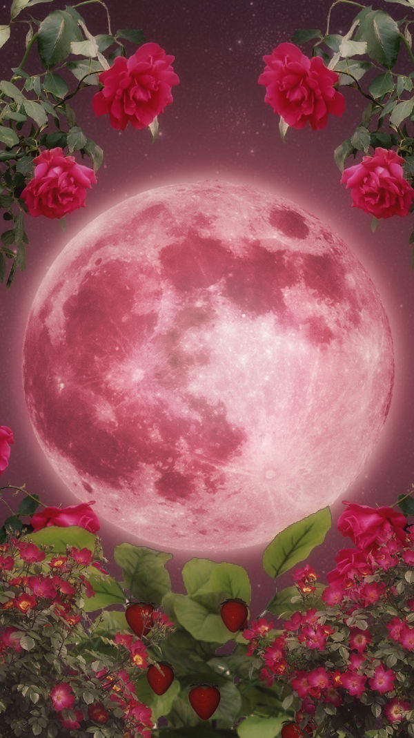 Bạn đã từng nghe về Trăng Dâu tây (Strawberry Moon) chưa? Hãy cùng khám phá những bức hình nền iPhone về Trăng Dâu tây đẹp mắt đúng chuẩn với những màu sắc tươi sáng màu đỏ hồng nhẹ nhàng tuyệt đẹp. Bạn sẽ được trải nghiệm vô vàn cảm xúc và lưu giữ những khoảnh khắc đẹp trong cuộc sống.