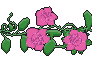 Pink Rose Page Divider