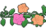 Spring Roses Page Divider