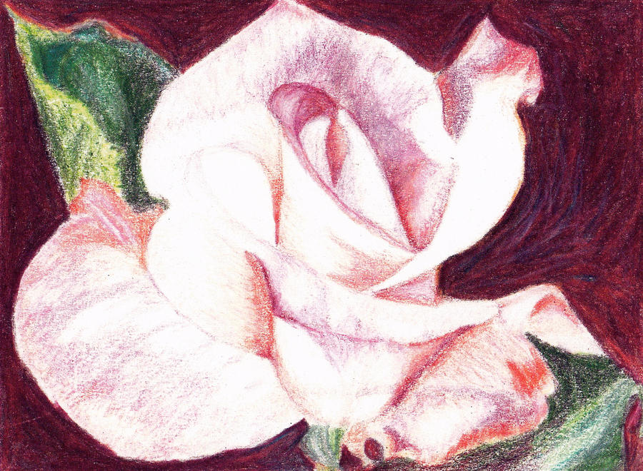 Rose Hues