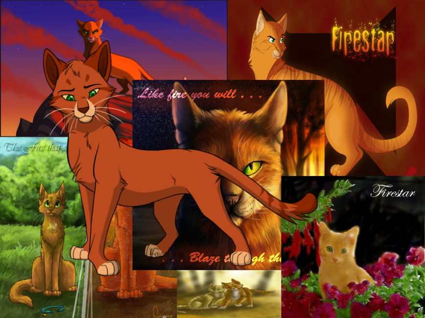 Firestar Warrior Cats Wallpapers - Wallpaper Cave