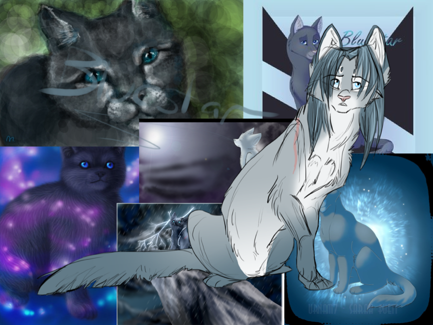 Bluestar  Warrior cats books, Warrior cats, Warrior cats art