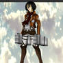 Official Mikasa Yes