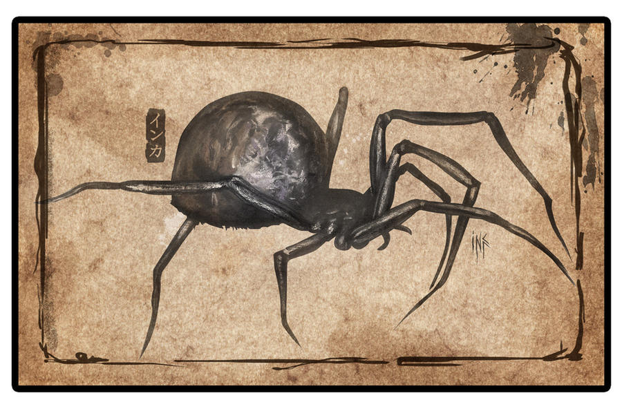 Deviantart Spider Spider by Tsabo6 on DeviantArt