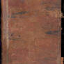 Leather book texture 2