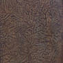 Leather Texture 2