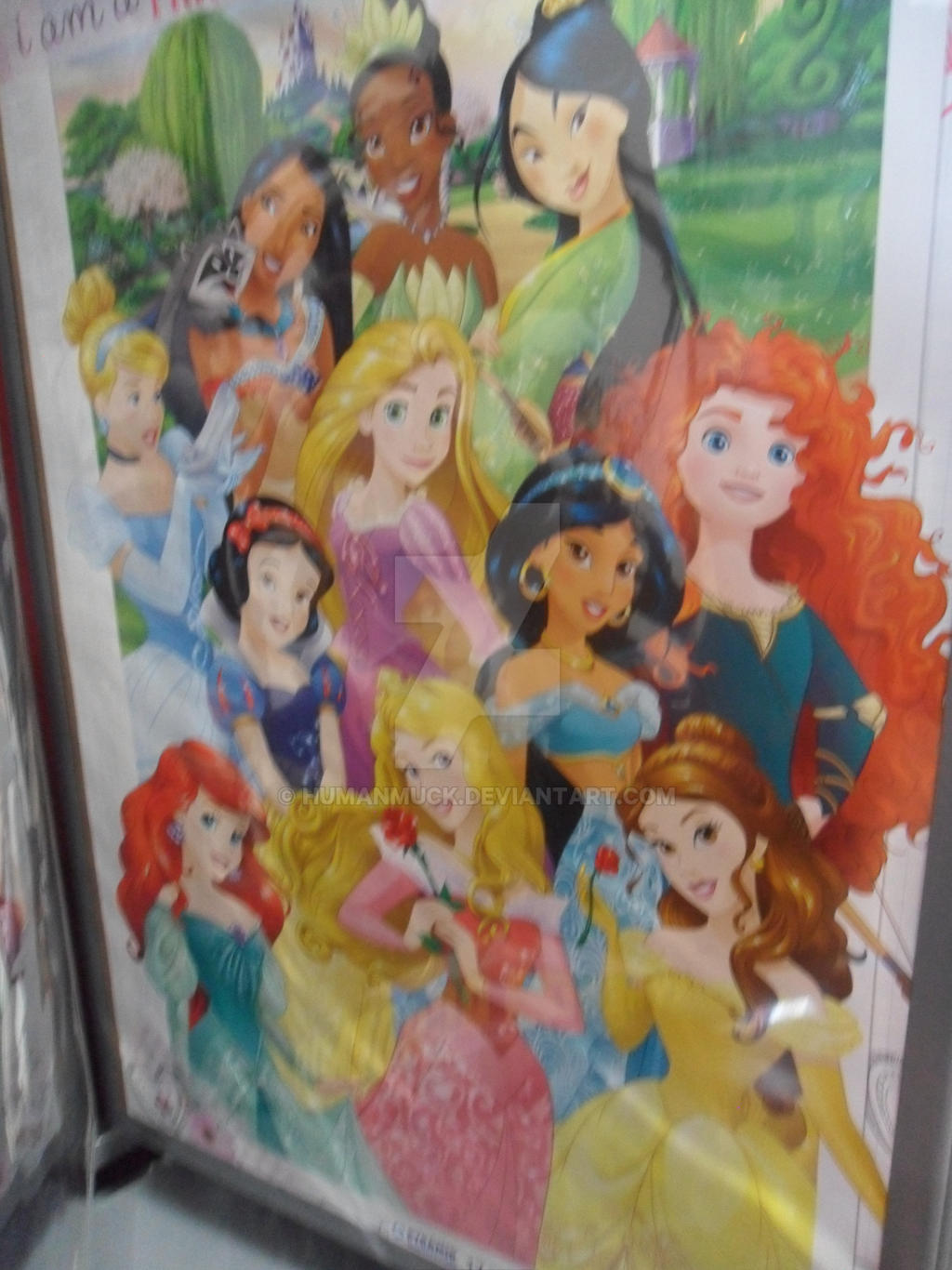 Disney Princess poster by humanmuck on DeviantArt