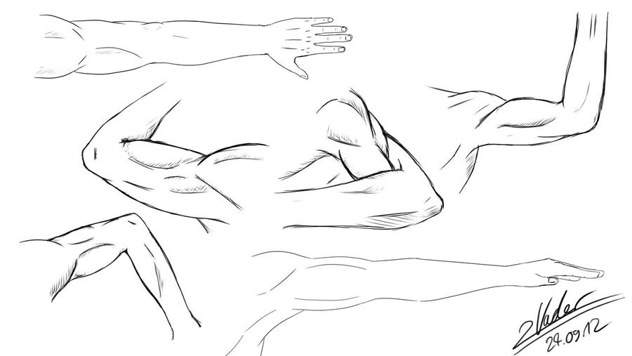 Arm Studies by twovader