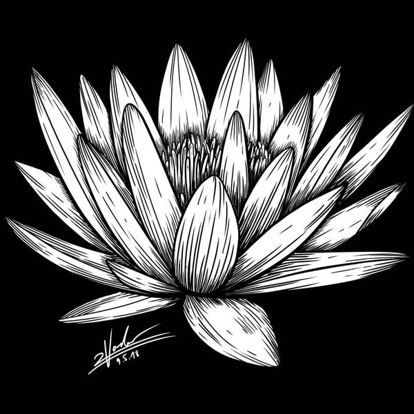 Lotus Tattoo Design by twovader