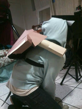 Blastoise cosplay (Back)