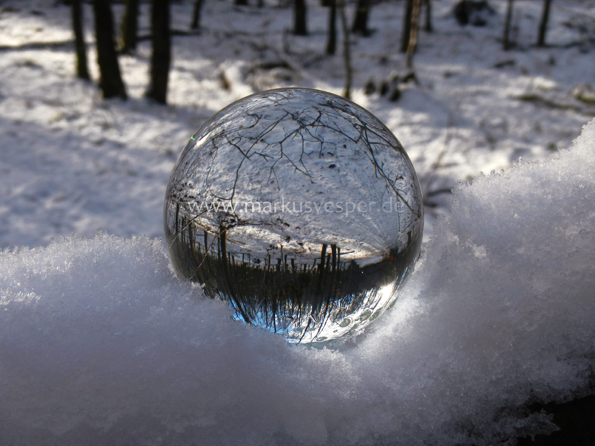 Glass sphere in the snow on a branch