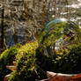 Glass sphere on moss above a river