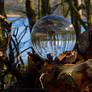 Glass sphere on branch at a lake
