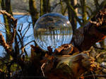 Glass sphere on branch at a lake