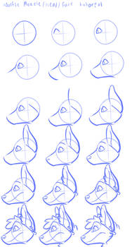 Wolfie head tutorial profile view