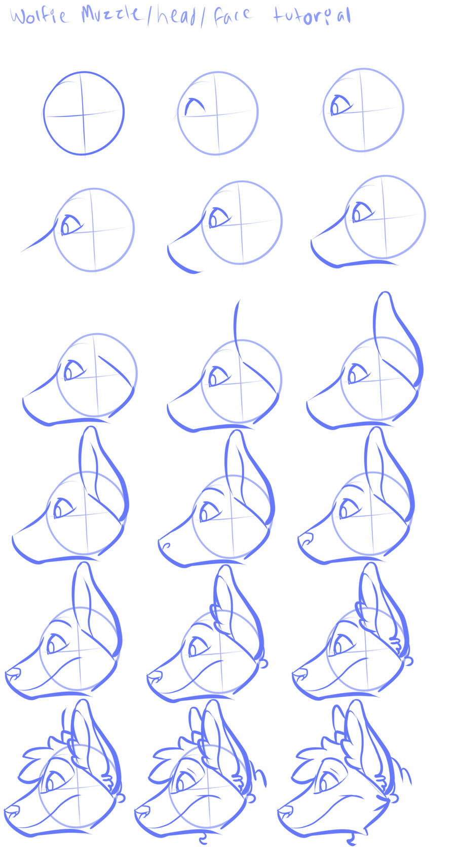 Wolfie head tutorial profile view