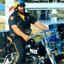Bud Spencer, Terence Hill, Miami Cops