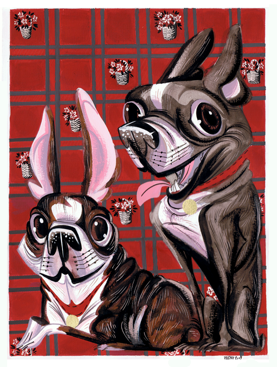 Boston Terriers