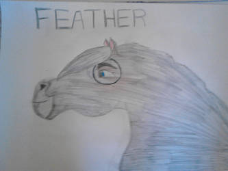 Feather