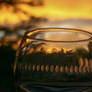 Sunset Through Glass