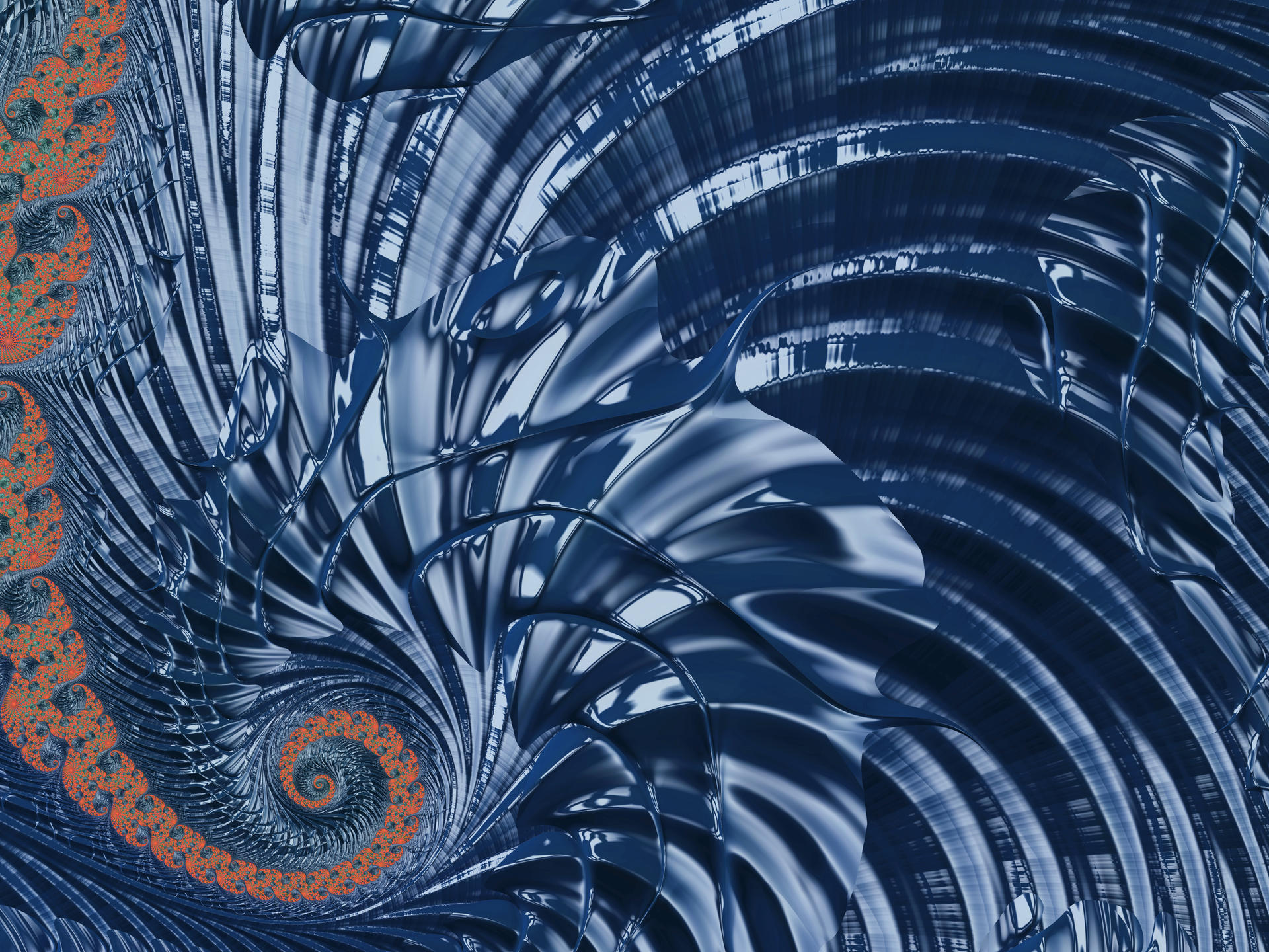 Shell by Alex-Manning on DeviantArt