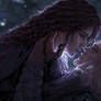The Last Wish