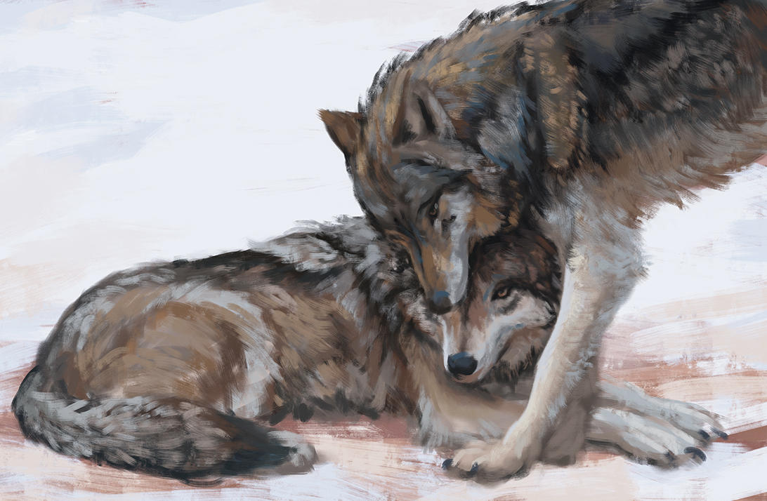 Two Wolves Scetch Wolves sketch by cyberaeon on DeviantArt