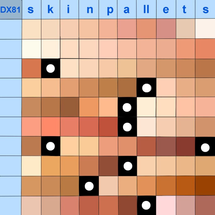 DX81 Skin Pallets