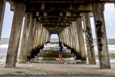 Under the Pier