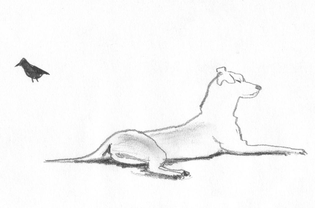 Le Chien Et L'oiseau Scan