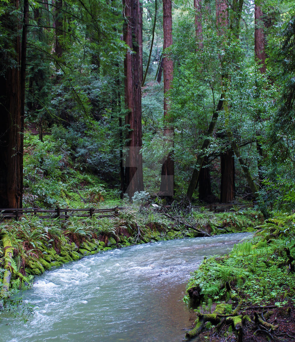 Riverbend Example Just around the riverbend by Lens-Druid on DeviantArt