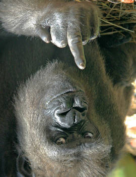 Just-Rube - Student, Digital Artist | DeviantArt