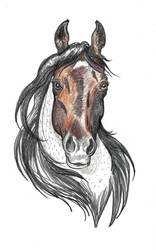 Forrest the Quarter Horse Tattoo design (RIP)