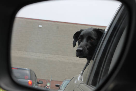 Waiting in the car